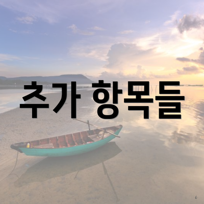 추가 항목들