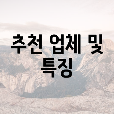 추천 업체 및 특징