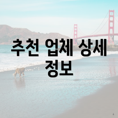 추천 업체 상세 정보