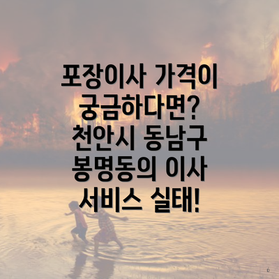 포장이사 가격이 궁금하다면? 천안시 동남구 봉명동의 이사 서비스 실태!