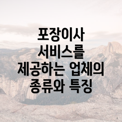 포장이사 서비스를 제공하는 업체의 종류와 특징