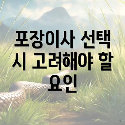 포장이사 선택 시 고려해야 할 요인