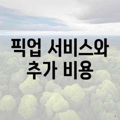 픽업 서비스와 추가 비용