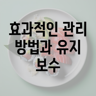 효과적인 관리 방법과 유지 보수