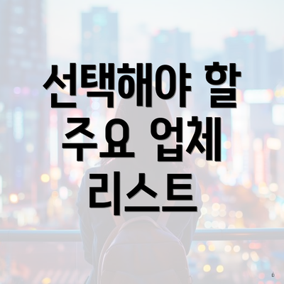 선택해야 할 주요 업체 리스트