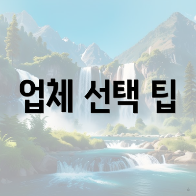 업체 선택 팁