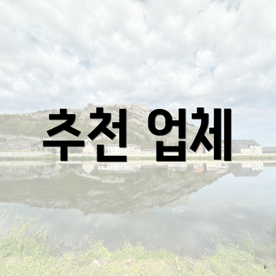 추천 업체