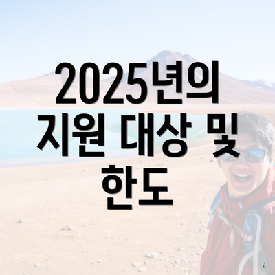 2025년의 지원 대상 및 한도