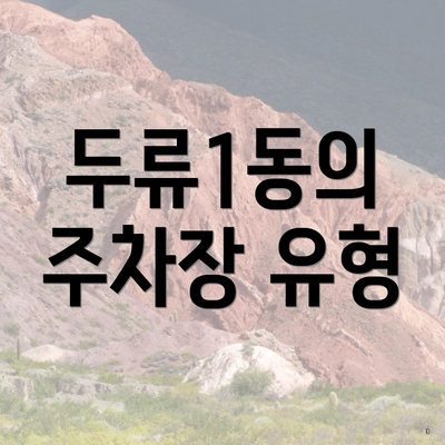 두류1동의 주차장 유형