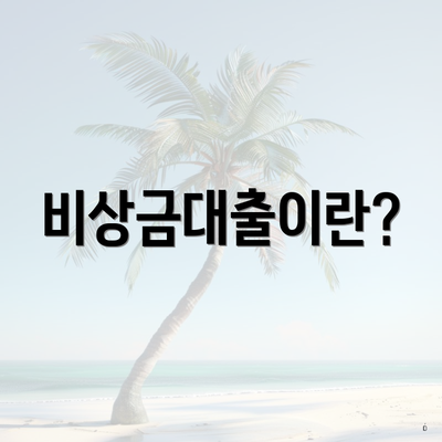 비상금대출이란?