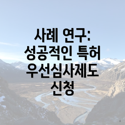 사례 연구: 성공적인 특허 우선심사제도 신청
