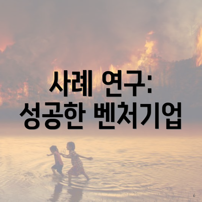 사례 연구: 성공한 벤처기업