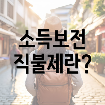 소득보전 직불제란?