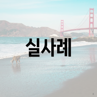 실사례
