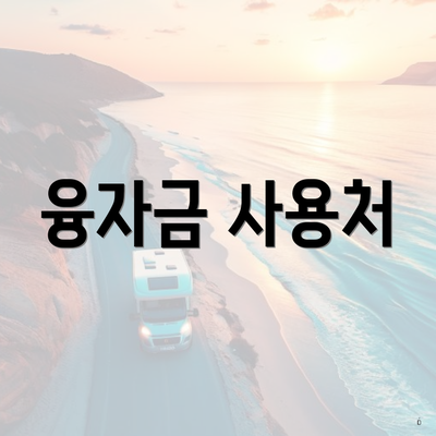융자금 사용처