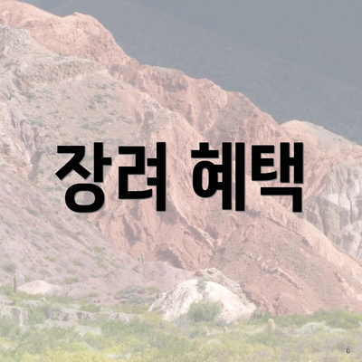 장려 혜택
