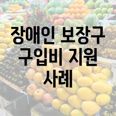 장애인 보장구 구입비 지원 사례
