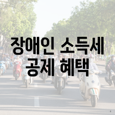 장애인 소득세 공제 혜택