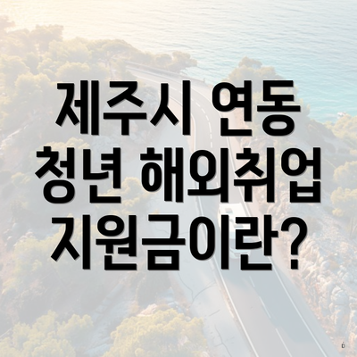제주시 연동 청년 해외취업 지원금이란?