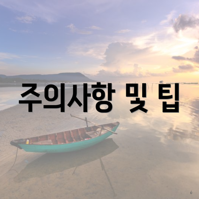 주의사항 및 팁