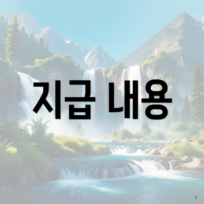 지급 내용