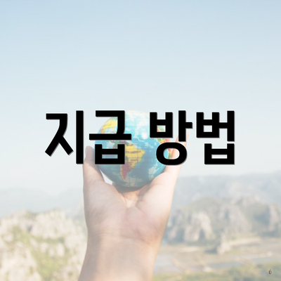 지급 방법