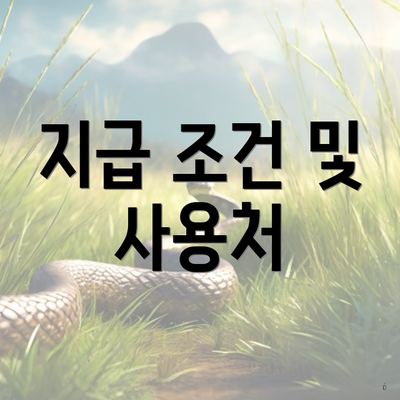 지급 조건 및 사용처