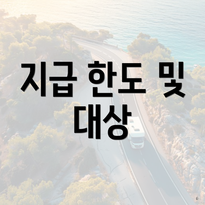 지급 한도 및 대상