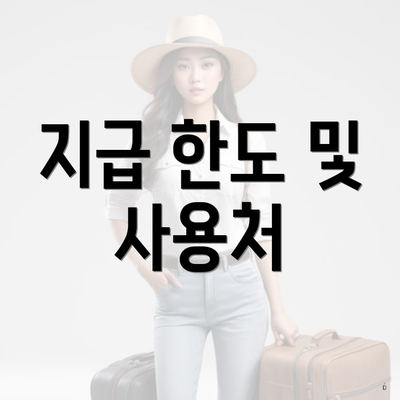지급 한도 및 사용처