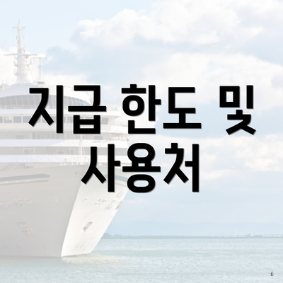 지급 한도 및 사용처