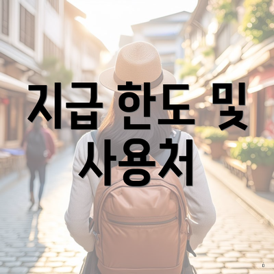 지급 한도 및 사용처