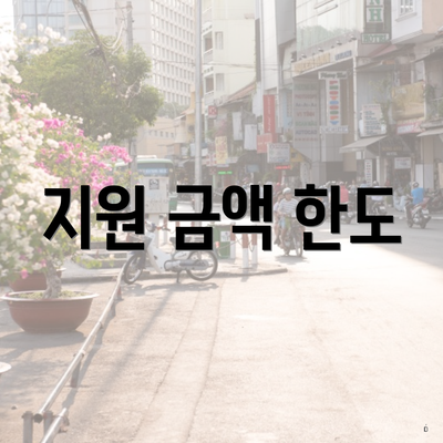 지원 금액 한도
