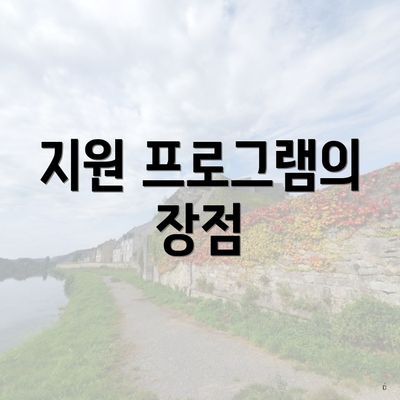 지원 프로그램의 장점