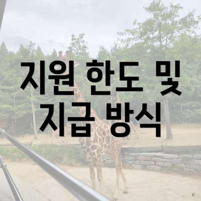 지원 한도 및 지급 방식