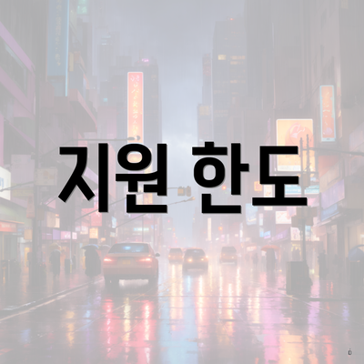 지원 한도