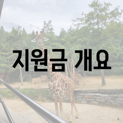 지원금 개요