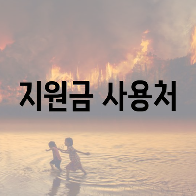 지원금 사용처