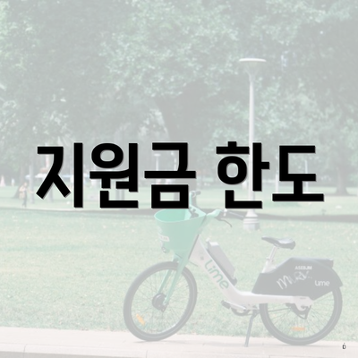 지원금 한도