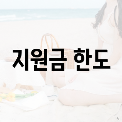 지원금 한도