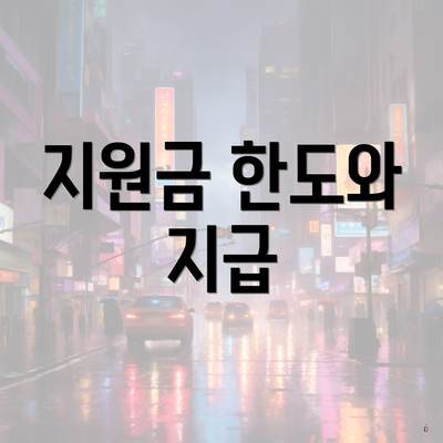 지원금 한도와 지급