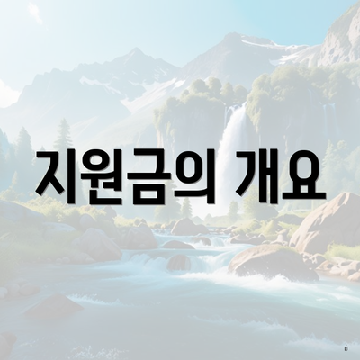 지원금의 개요