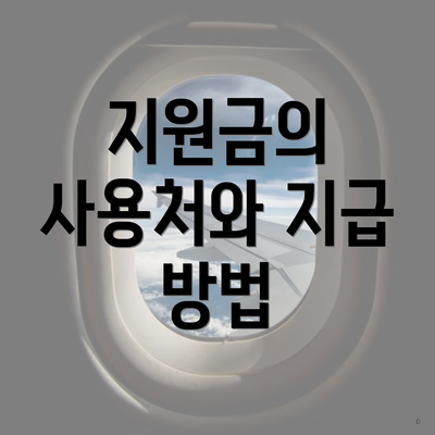 지원금의 사용처와 지급 방법