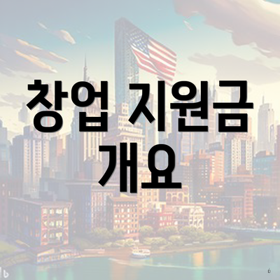 창업 지원금 개요