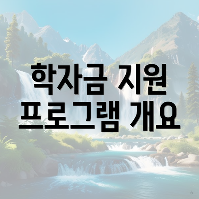 학자금 지원 프로그램 개요