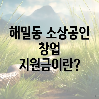 해밀동 소상공인 창업 지원금이란?