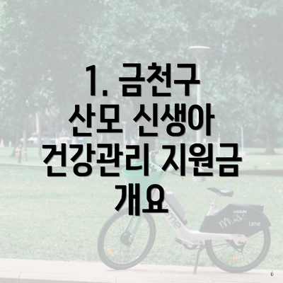 1. 금천구 산모 신생아 건강관리 지원금 개요