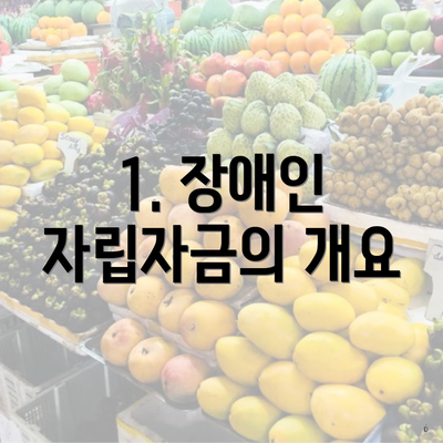 1. 장애인 자립자금의 개요