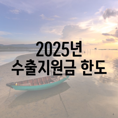 2025년 수출지원금 한도