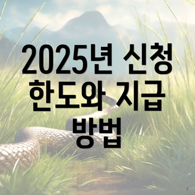 2025년 신청 한도와 지급 방법