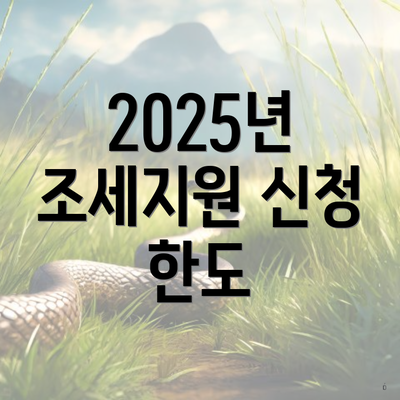 2025년 조세지원 신청 한도